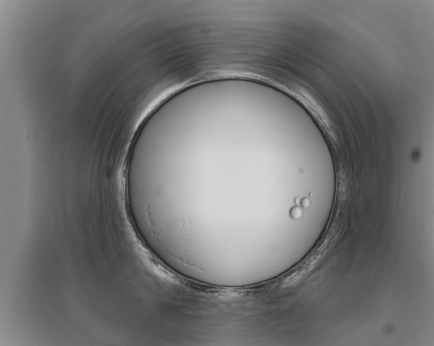 X0000095930814200801110917