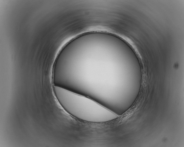 X0000095930815200801110917