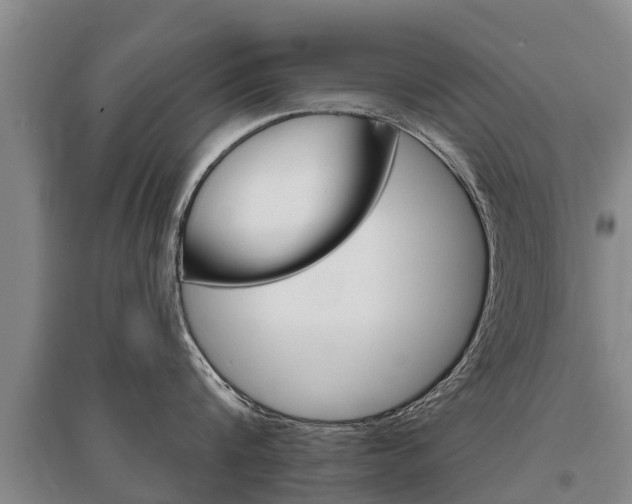 X0000095930816200801110917
