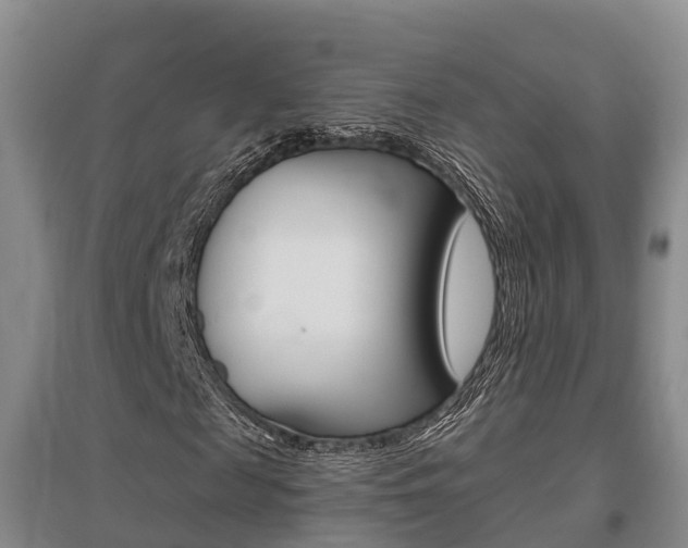 X0000095930817200801110916