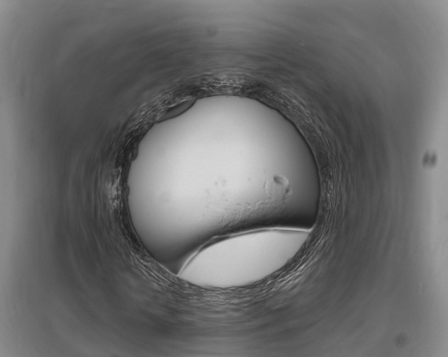 X0000095930818200801110916