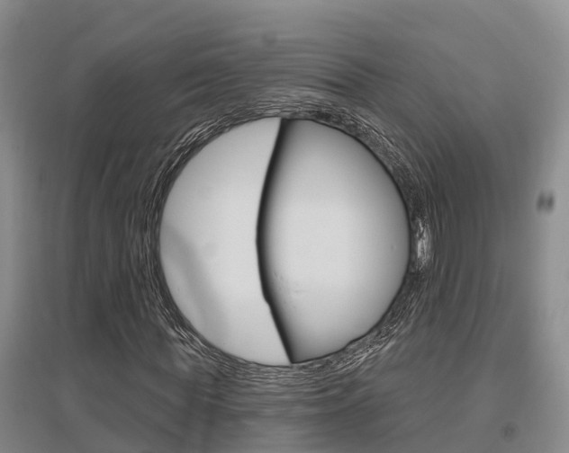 X0000095930819200801110916