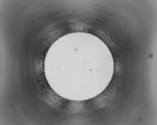 X0000095930820200801110916