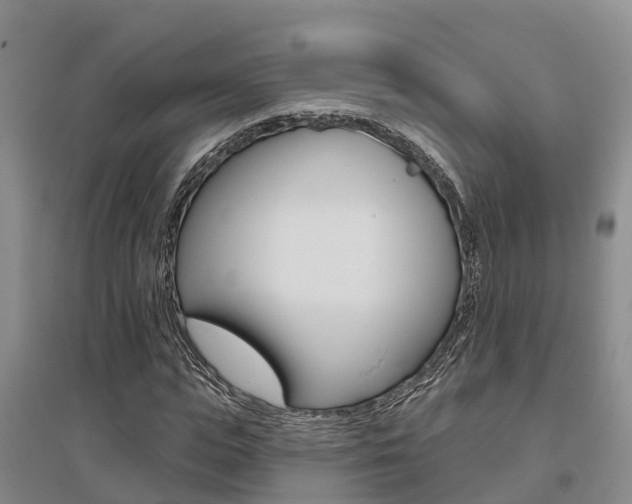 X0000095930823200801110916