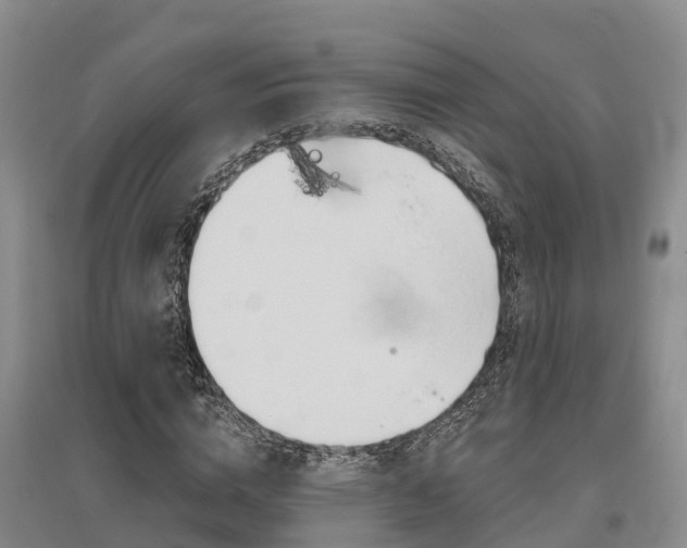X0000095930824200801110916