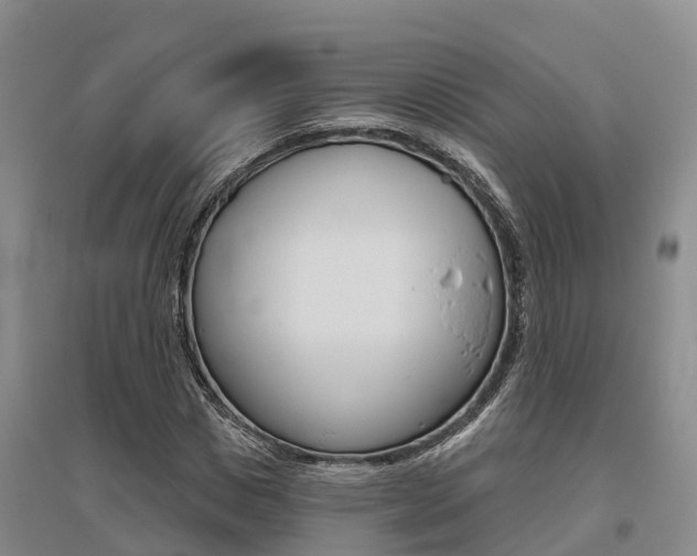 X0000095930825200801110916
