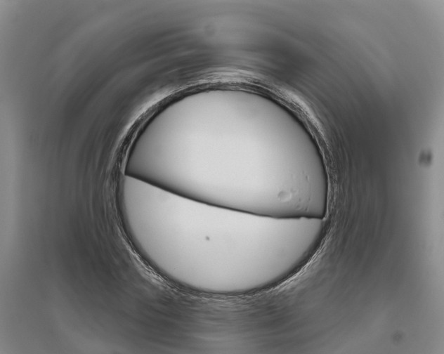 X0000095930827200801110916