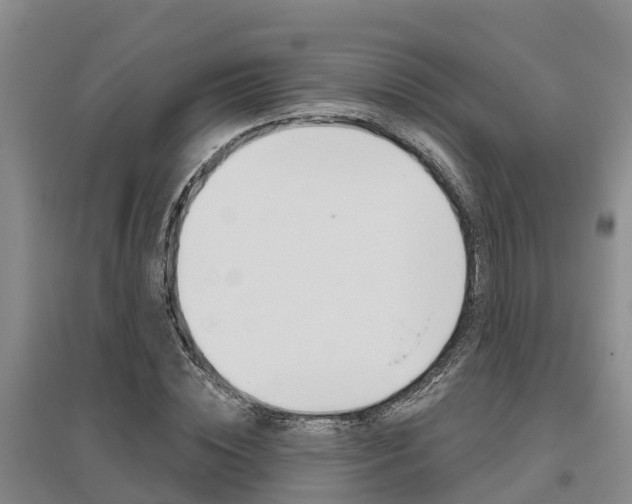 X0000095930828200801110916