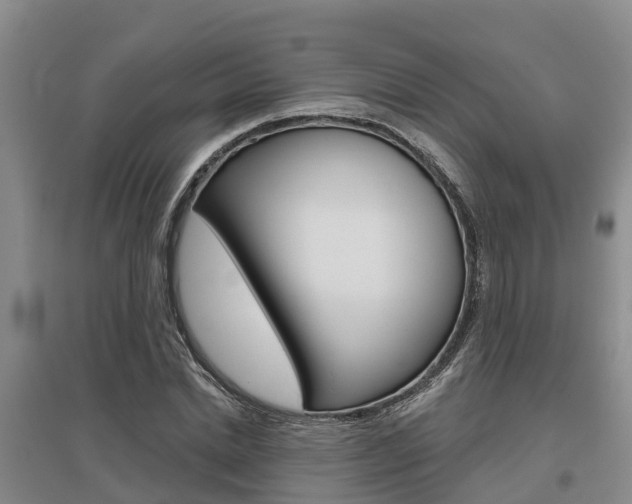 X0000095930830200801110916