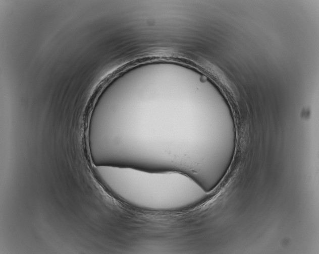 X0000095930831200801110916