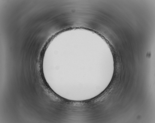 X0000095930832200801110916