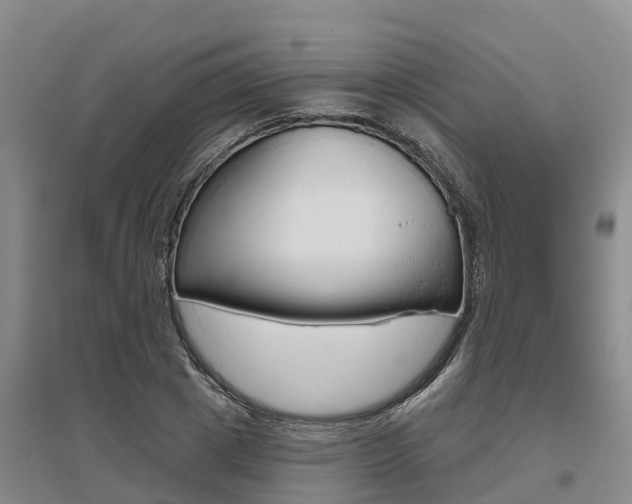 X0000095930833200801110916