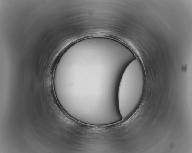 X0000095930835200801110916