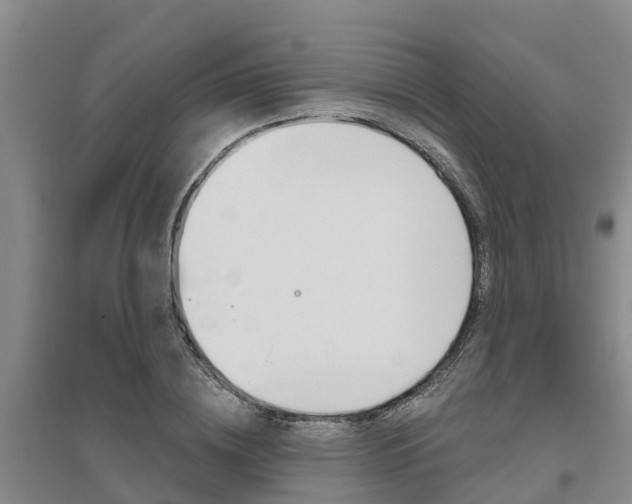 X0000095930836200801110916