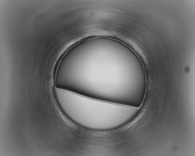X0000095930837200801110916
