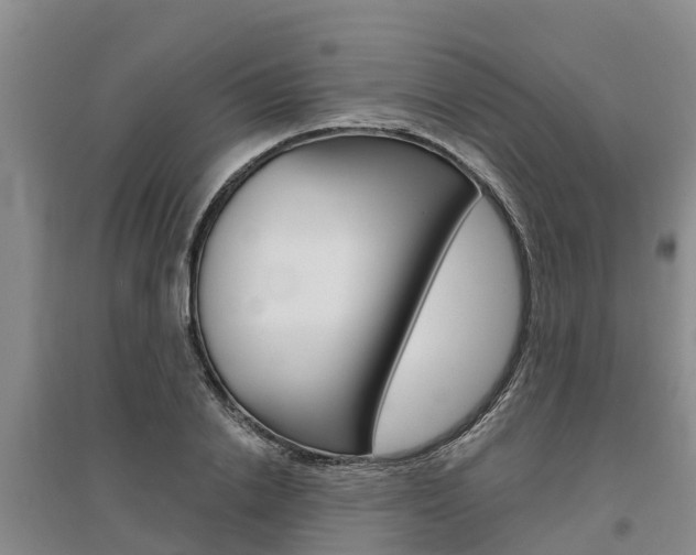 X0000095930838200801110916