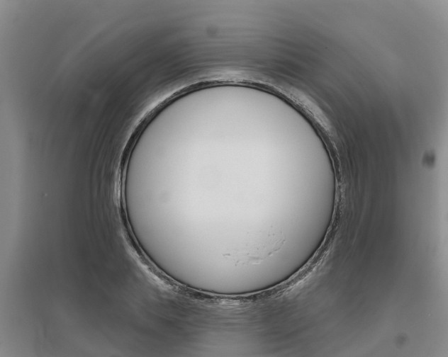 X0000095930839200801110916