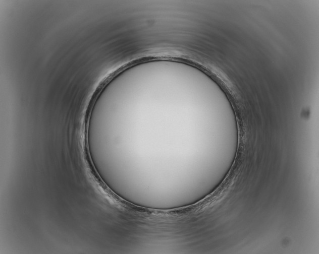 X0000095930840200801110916