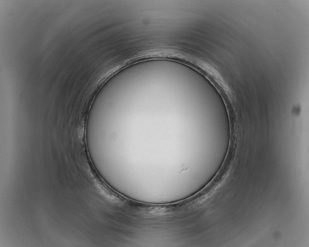 X0000095930841200801110916