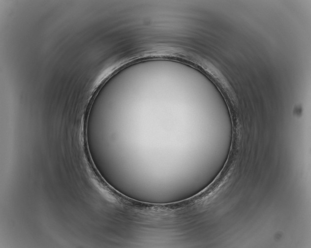 X0000095930842200801110916