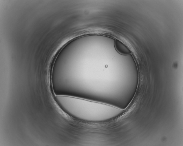 X0000095930843200801110916