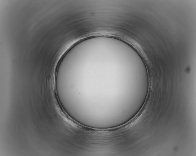 X0000095930844200801110916