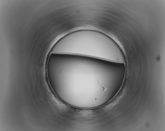 X0000095930845200801110916