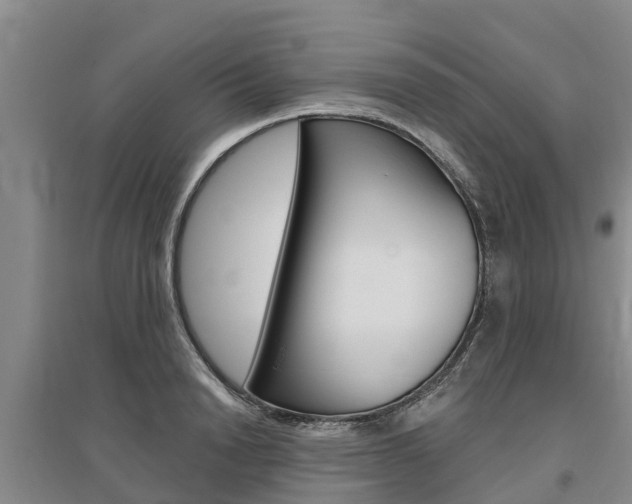 X0000095930846200801110916