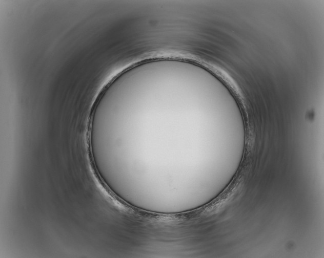 X0000095930847200801110916