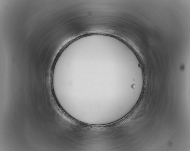 X0000095930848200801110916