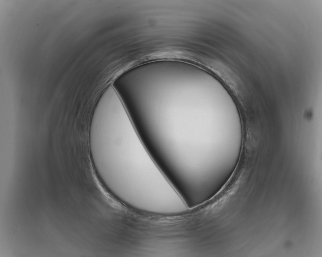 X0000095930849200801110916