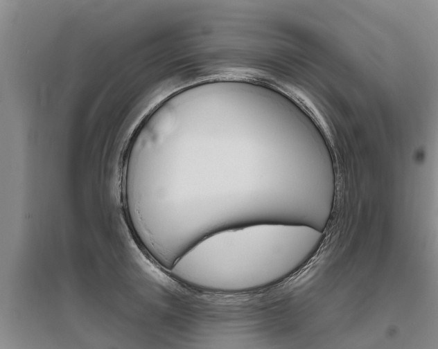 X0000095930851200801110916