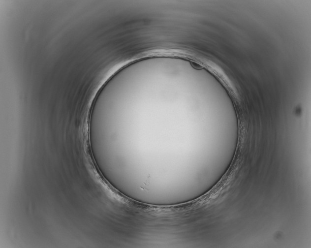 X0000095930852200801110916