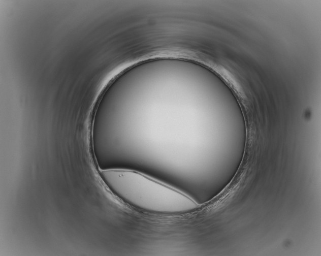 X0000095930854200801110917