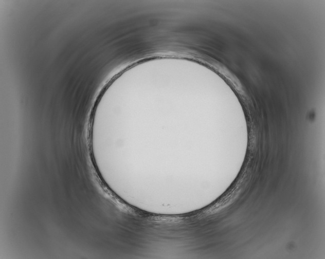 X0000095930856200801110917