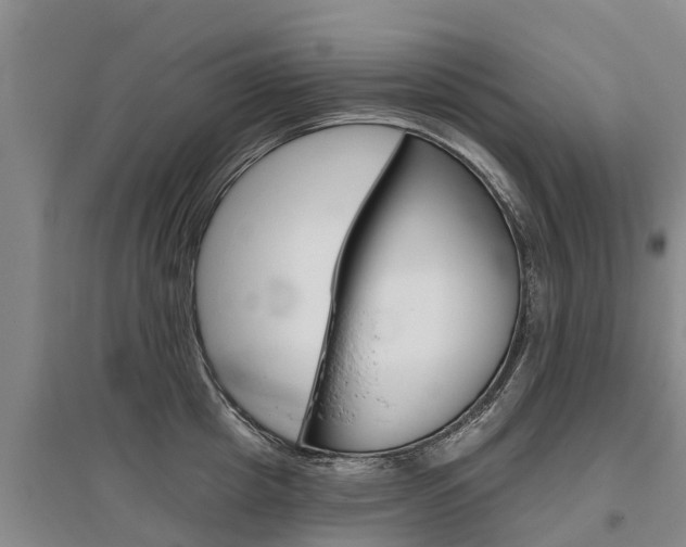 X0000095930857200801110917