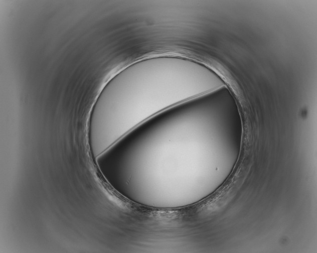 X0000095930858200801110917