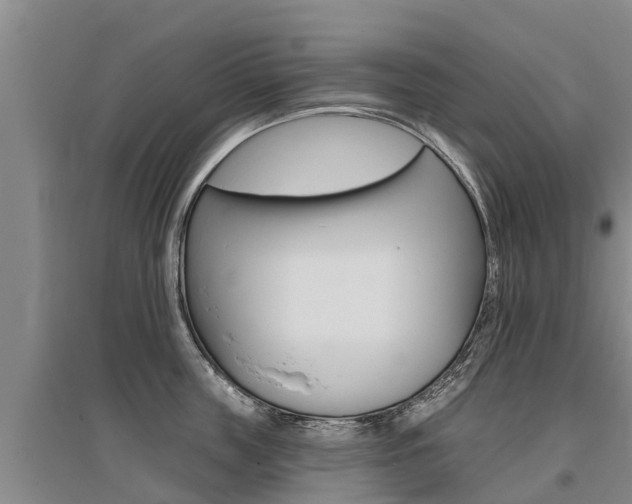 X0000095930859200801110917