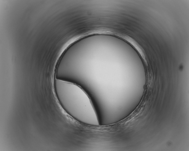 X0000095930861200801110917