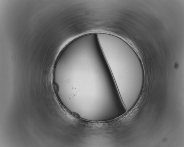 X0000095930862200801110917