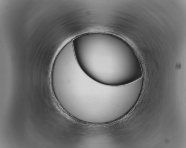 X0000095930864200801110917