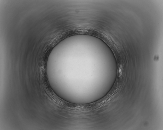 X0000095930867200801110916