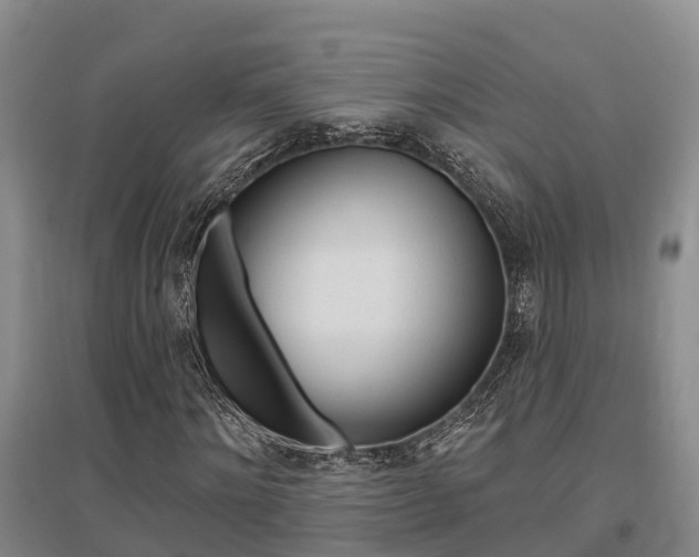 X0000095930868200801110916