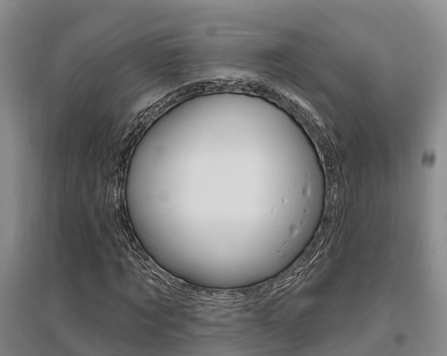 X0000095930869200801110916
