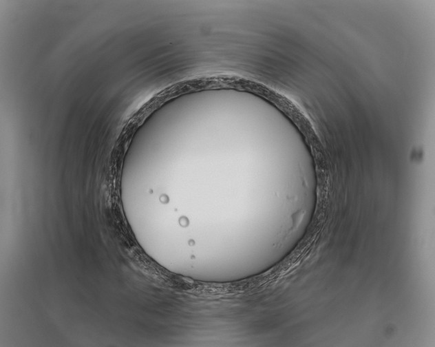 X0000095930871200801110916