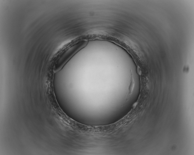 X0000095930872200801110916