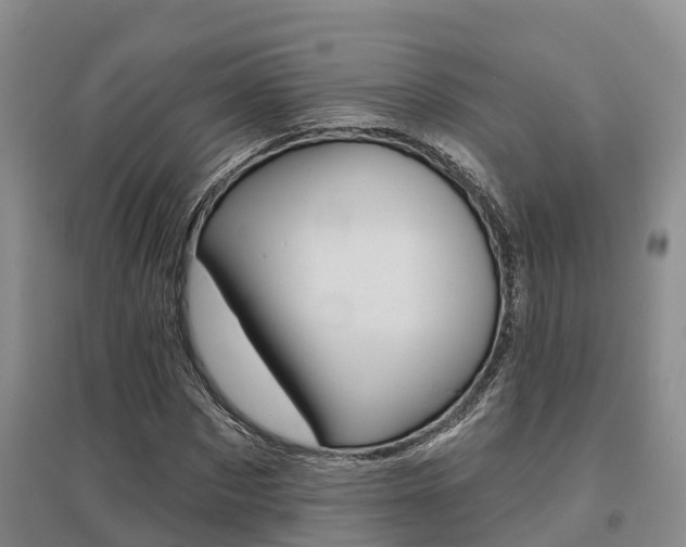 X0000095930873200801110916