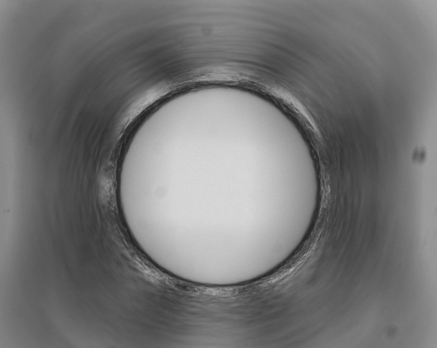X0000095930874200801110916