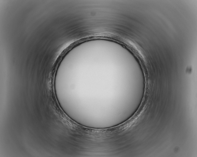 X0000095930875200801110916