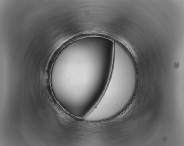 X0000095930876200801110916